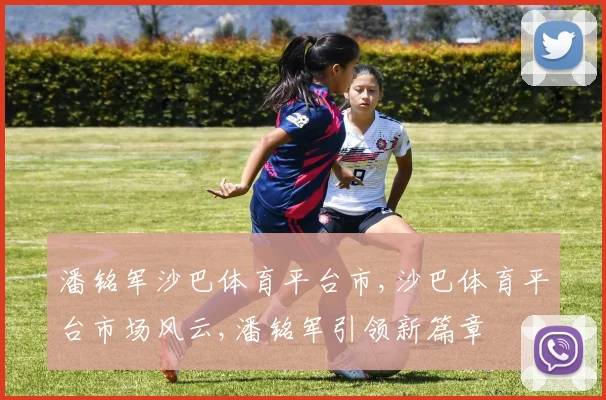潘铭军沙巴体育平台市,沙巴体育平台市场风云,潘铭军引领新篇章