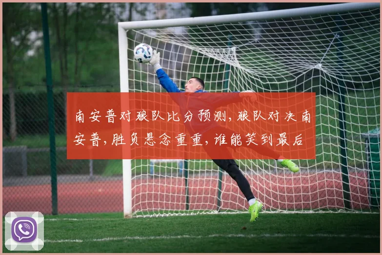 南安普对狼队比分预测,狼队对决南安普,胜负悬念重重,谁能笑到最后